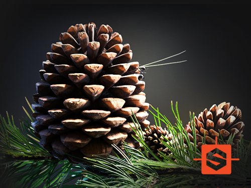 Pine Branch - Substance Designer